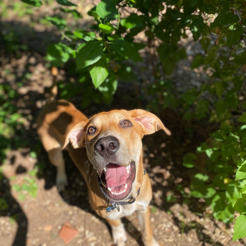 Meet your Posher, Samuel